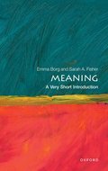 Meaning: A Very Short Introduction