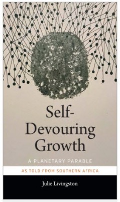 Self-Devouring Growth: A Planetary Parable as Told from Southern Africa