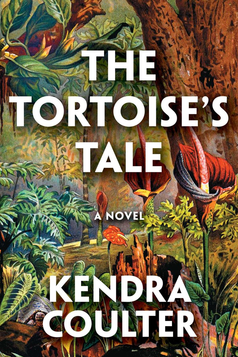 The Tortoise's Tale: A Novel
