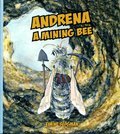 Andrena a Mining Bee