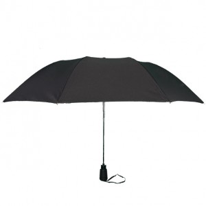Vancouver Umbrella: Mist Line Auto Short
