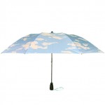 Vancouver Umbrella: Mist Line Auto Short