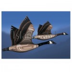 Island Art-Greeting Art Cards