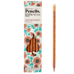 Decomposition Pencils - 12 pack