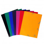 Exacompta Elastic Closure Poly Folder