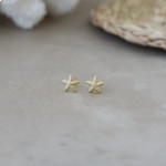 Glee Starfish Studs