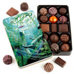 Rogers 15 pc Chocolate Tin (Kelp Forest)