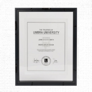 Document Picture Frame 11x14 (Black)