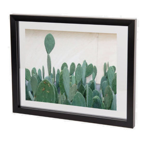 Document Picture Frame 11x14 (Black)