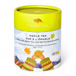 Maple Tea | Green (20 PK)