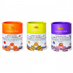 Maple Tea | 3 Pack
