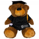 UVIC Crest Grad Bear - 20"