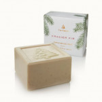 Frasier Fir | Bar Soap