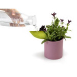 Leaflow (Plant Watering Leaf)