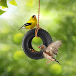Swing Time Bird Feeder