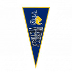 UVIC Flocked Pennant