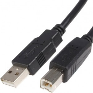 Startech 6ft. USB A To B Cable M/M