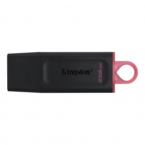 Kingston Data Traveler Exodia 256GB USB 3.2