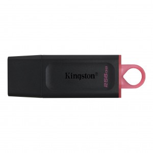 Kingston Data Traveler Exodia 256GB USB 3.2