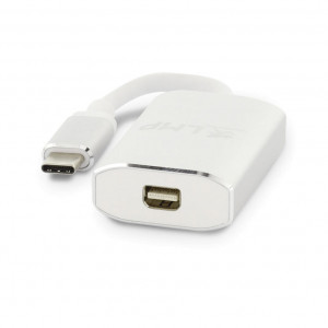 LMP USB-C To Mini-DisplayPort Adapter Silver